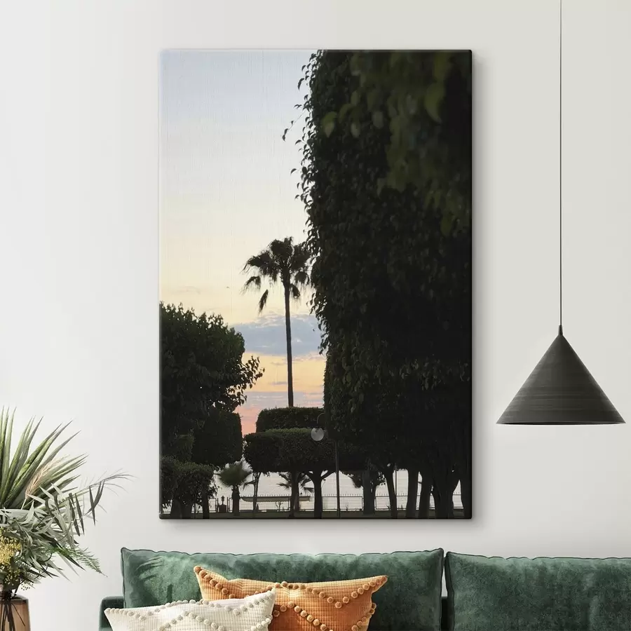 Wandbilder Palme in einem Landschaftspark bei Sonnenuntergang s49697