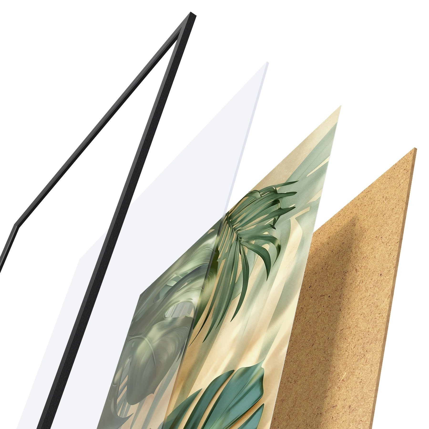 Poster Monstera und tropische Blätter f49552