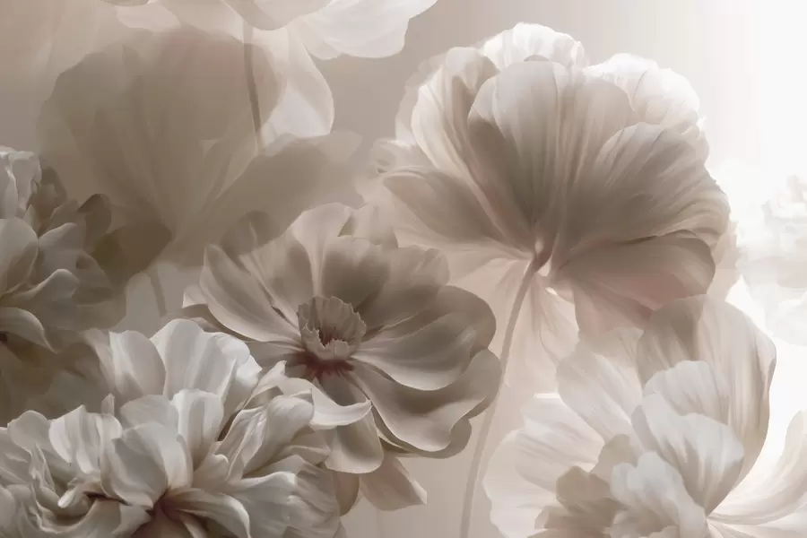 Fototapete Abstrakte cremefarbene Magnolienblütenblätter w09937