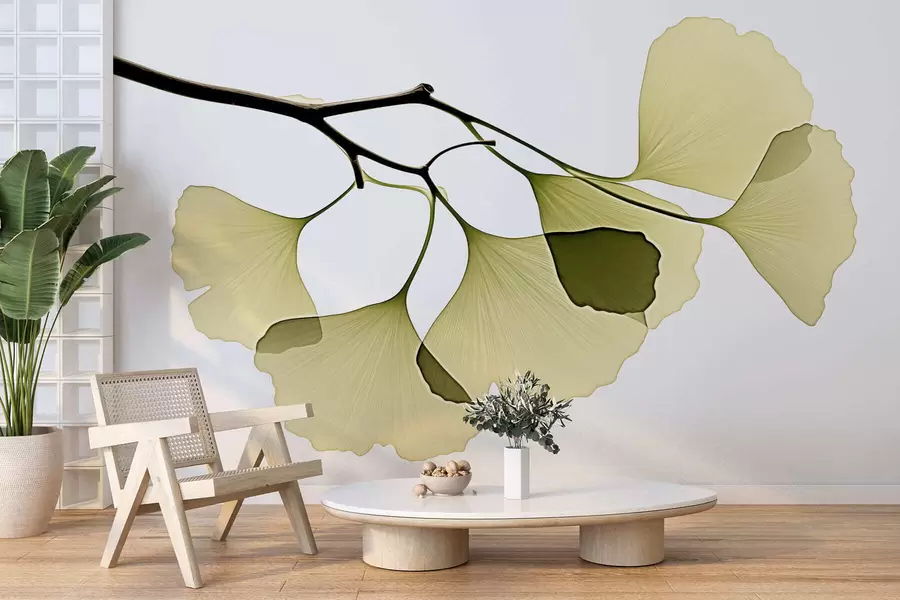 Fototapete Ginkgo-Fächerblätter w09968