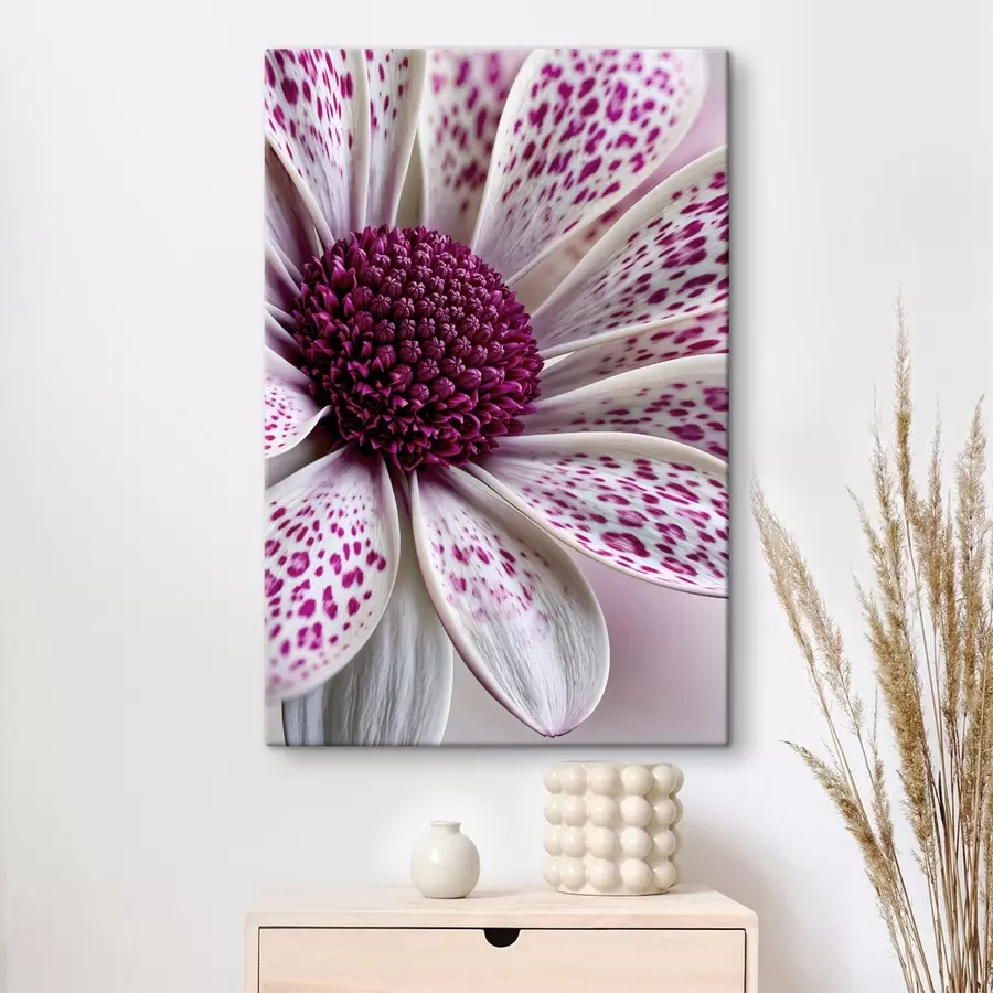 Wandbilder Nahaufnahme einer gänseblümchenähnlichen Blume mit leuchtend magentafarbenen Leopardenflecken s49865