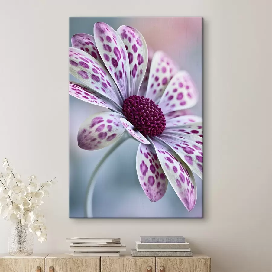 Wandbilder Eine gänseblümchenähnliche Blume mit leuchtend magentafarbenen Leopardenflecken s49866
