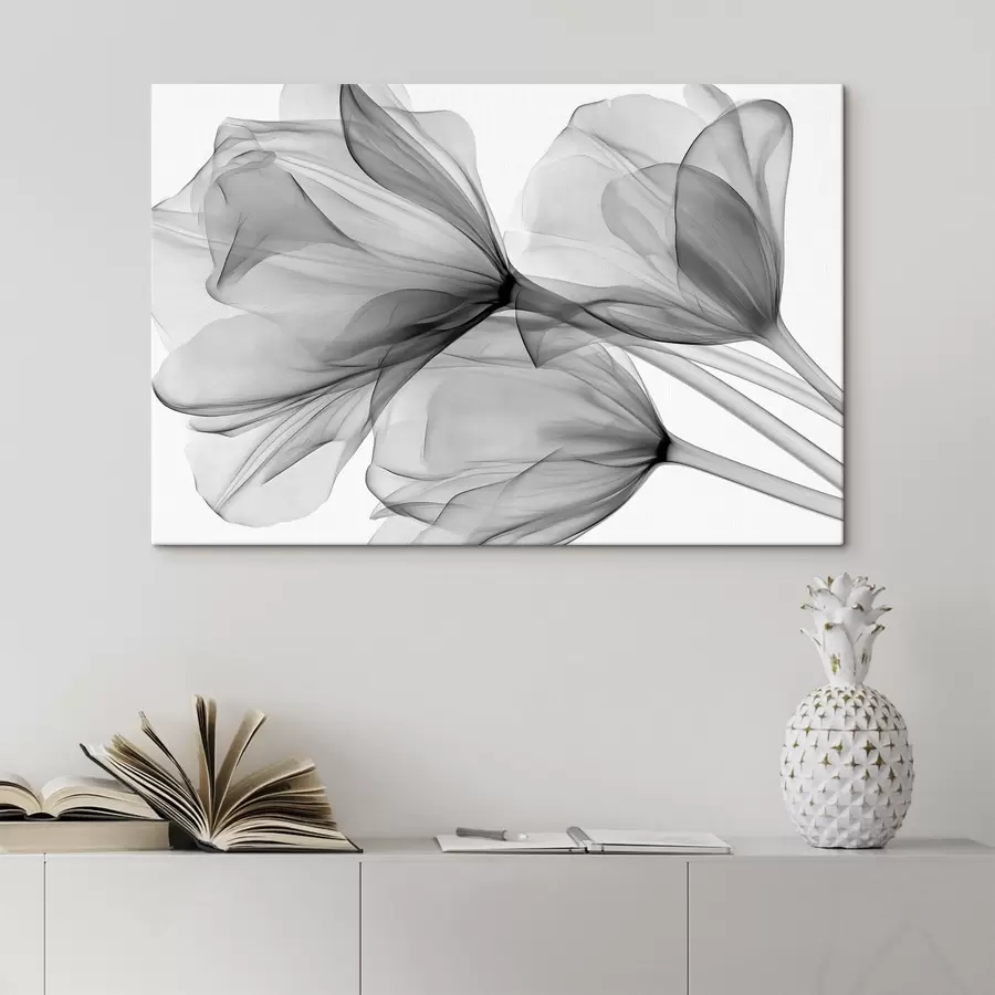 Wandbilder Schwarz-weiße Tulpen im Röntgenstil s49892