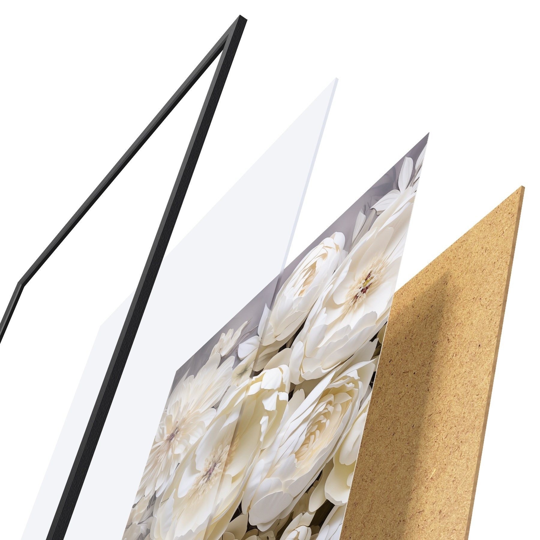 Poster Weiße Pfingstrosen f50034