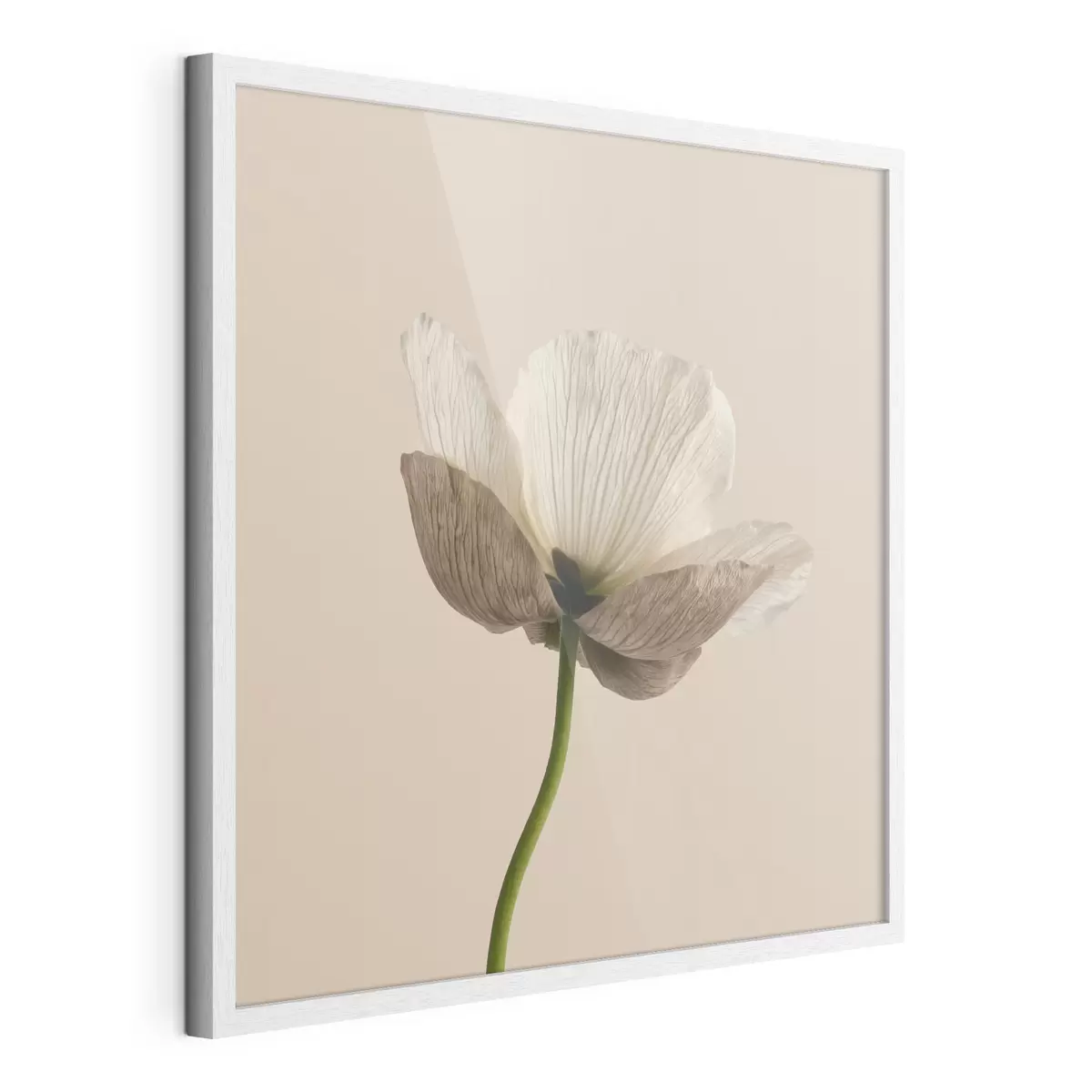 Poster Zarte Blume mit durchscheinenden Blütenblättern auf beigem Hintergrund im minimalistischen Stil f49718