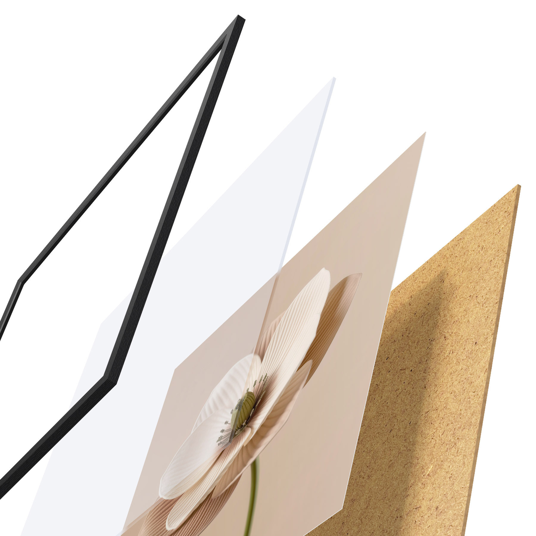 Poster Blume mit strukturierten Blütenblättern in Beigetönen im minimalistischen Stil f49719