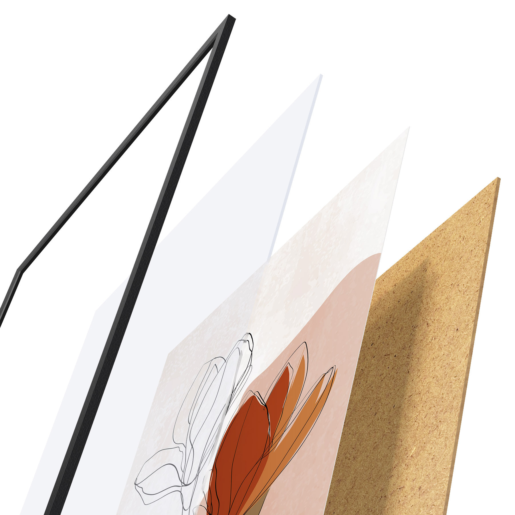 Poster Botanische Studie f50110