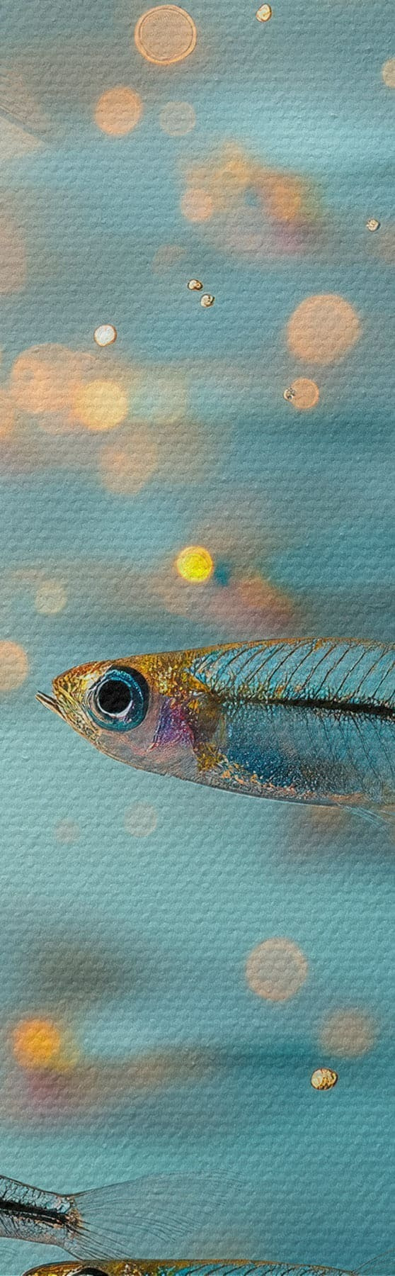 Wandbilder Schwarm kleiner Fische in blauem Wasser mit Spiegelungen s50443