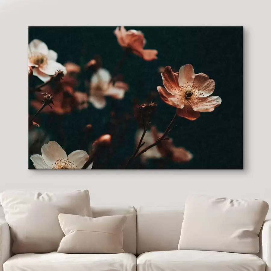 Wandbilder Blumen in warmen Farbtönen vor einem dunklen Hintergrund s50578