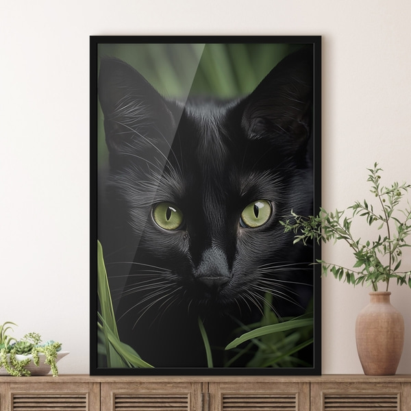 Poster Der Blick der schwarzen Katze in den Tropen, Posters Insekten und Tiere, f50761bk : Uwalls
