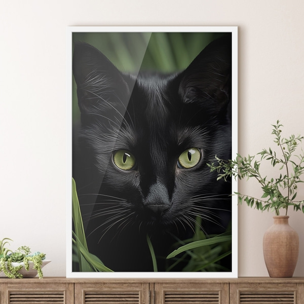 Poster Der Blick der schwarzen Katze in den Tropen, Posters Insekten und Tiere, f50761wh : Uwalls