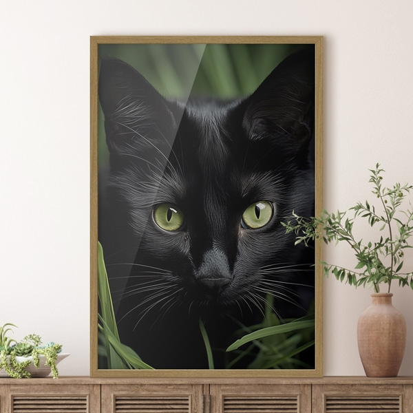 Poster Der Blick der schwarzen Katze in den Tropen, Posters Insekten und Tiere, f50761wo : Uwalls