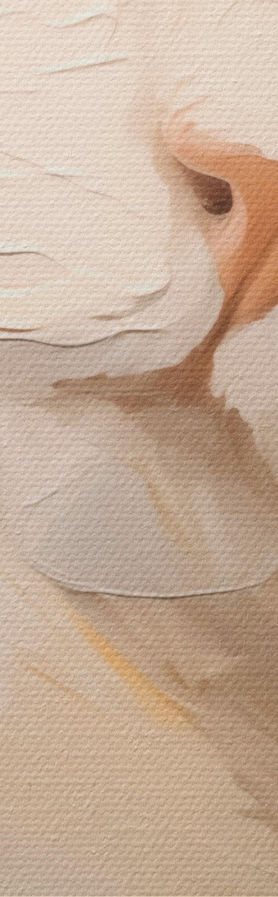 Wandbilder Katze, Gemäldeimitation m31063
