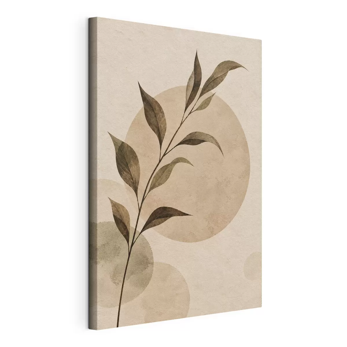 Wandbilder Botanische Harmonie s50722