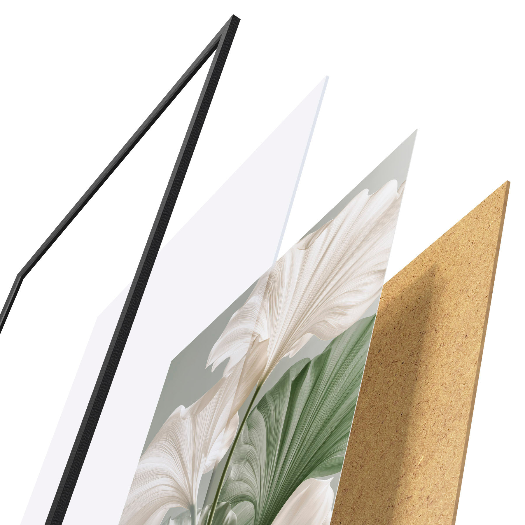 Poster Zarte Blätter d31037