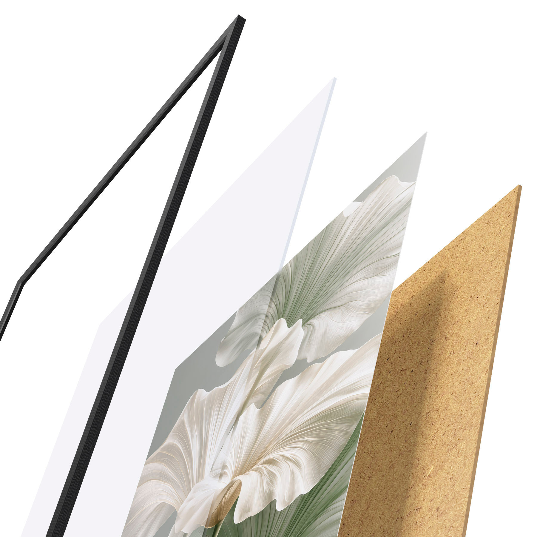 Poster Zarte Blätter f50868