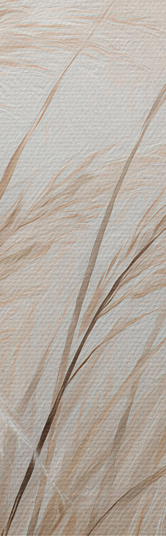 Wandbilder Weizenähren s51045