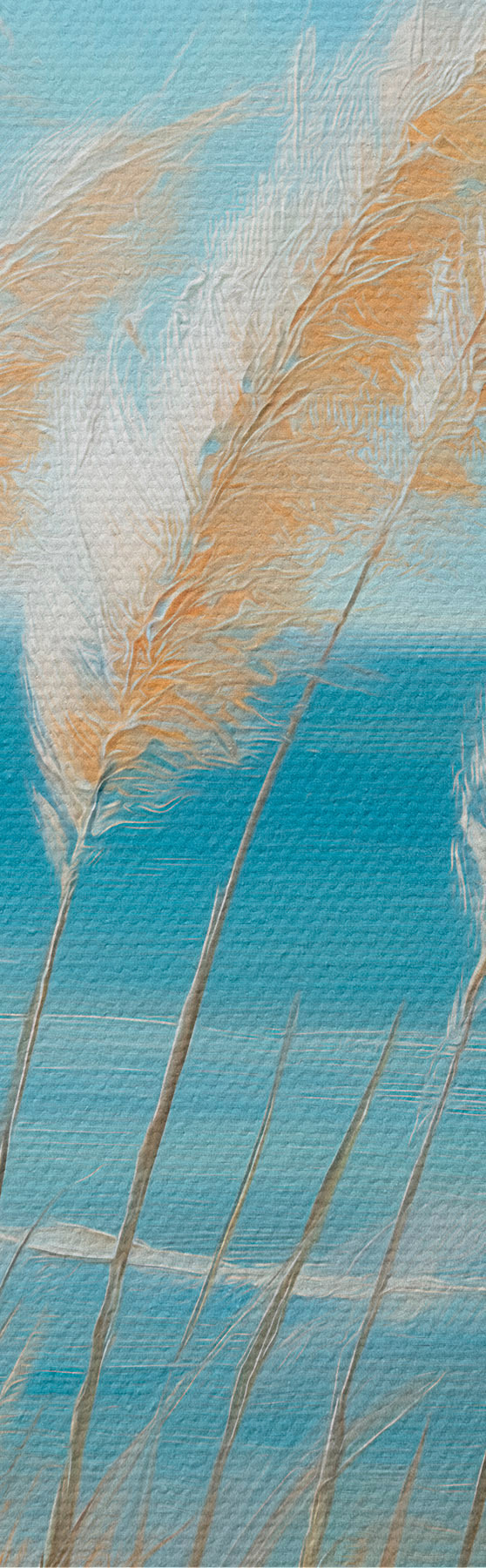 Wandbilder Getreideähren am Meer s51061