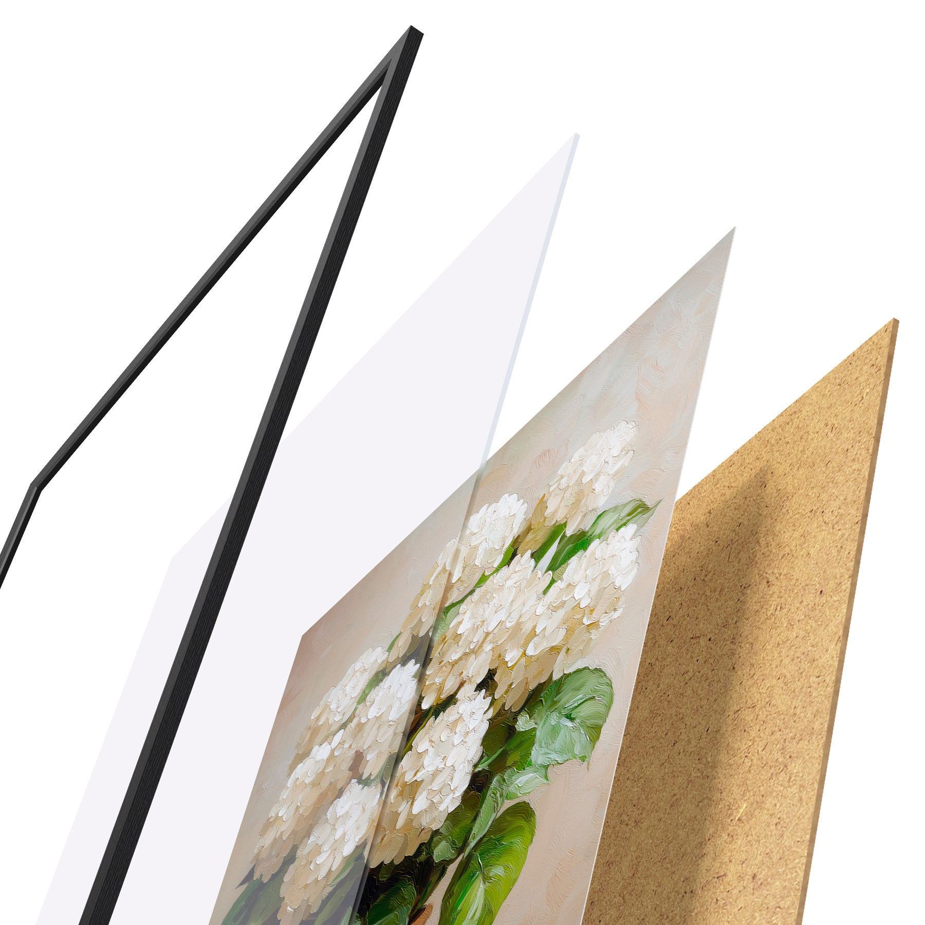 Poster Weiße Hortensien f51062