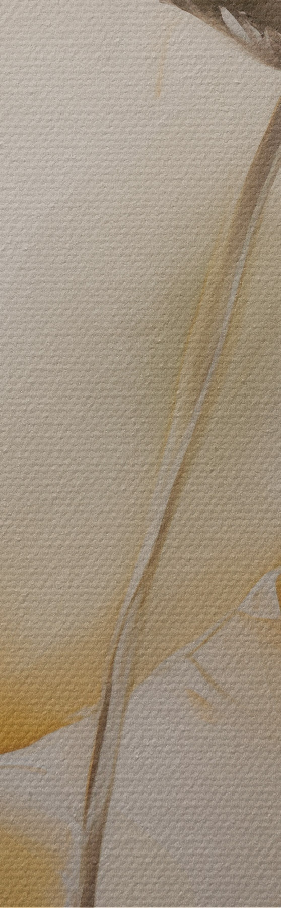 Wandbilder Luftige Mohnblumen in Beige-Tönen s51090