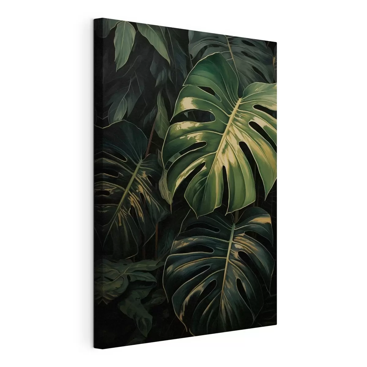Wandbilder Glänzende Monstera-Blätter in dunklen Tropen s51091