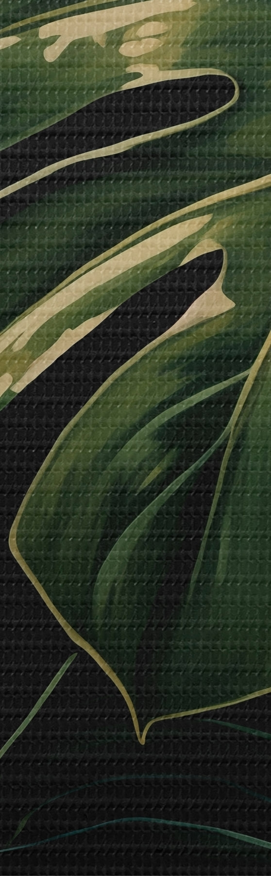 Wandbilder Glänzende Monstera-Blätter in dunklen Tropen s51091
