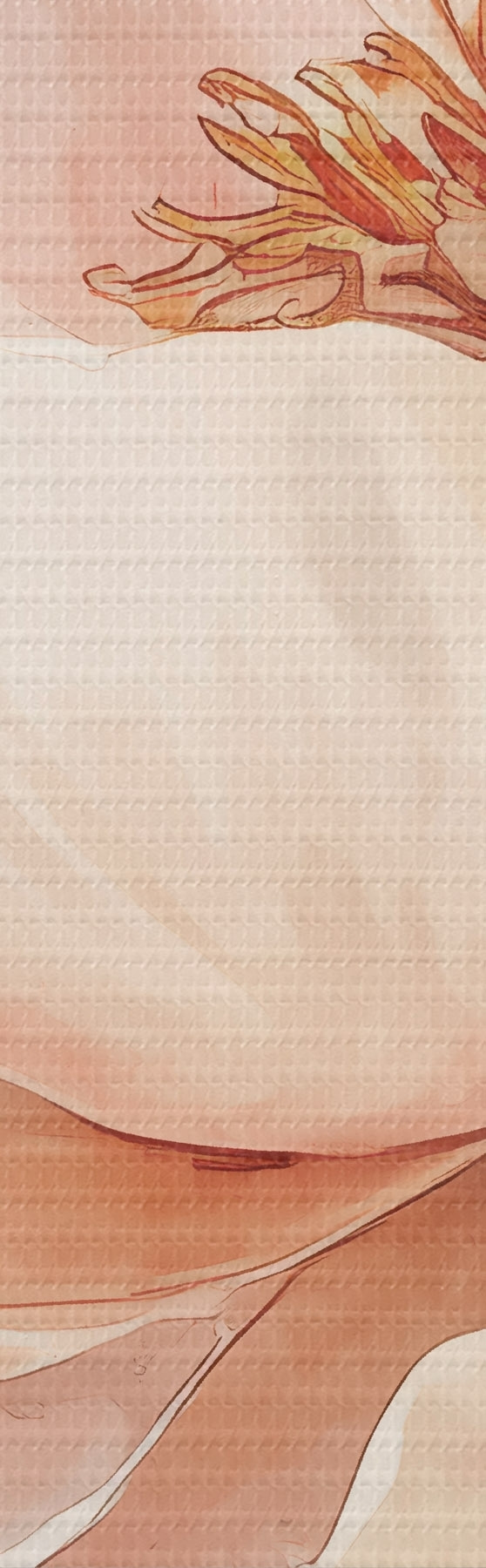 Wandbilder Rosa-beige Blume in Aquarelltechnik s51098