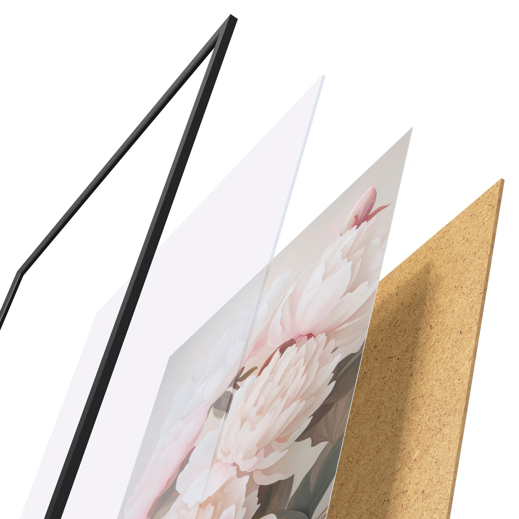 Poster Pfingstrosen d31104