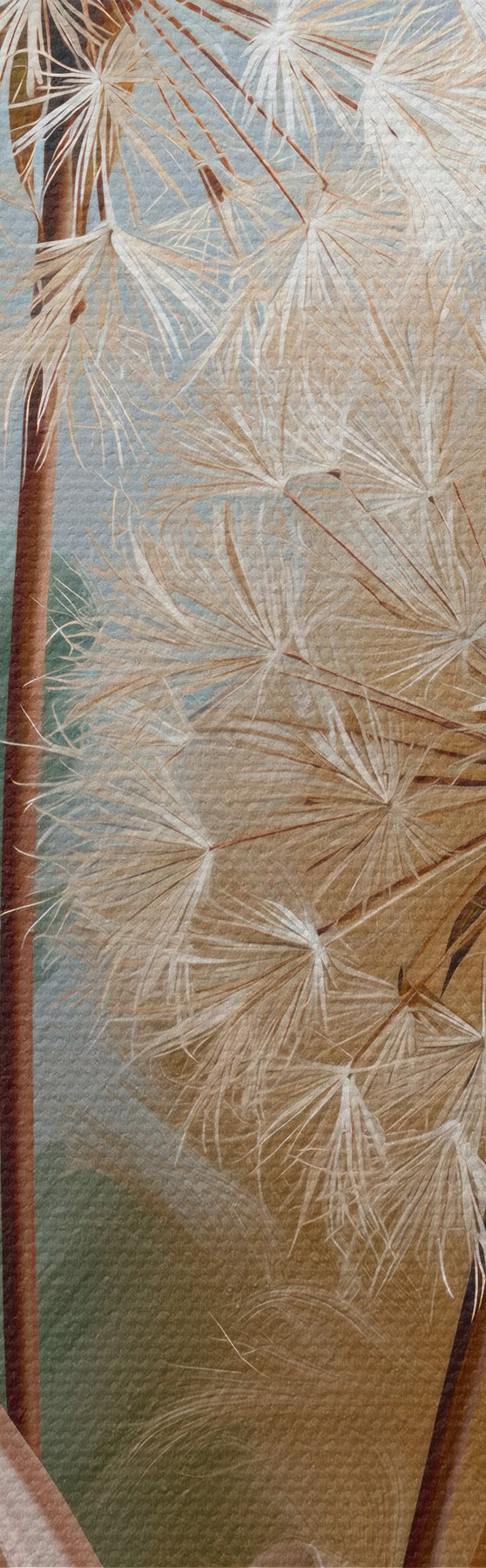 Wandbilder Zarte Löwenzahnblüten und Wildblumen s51182