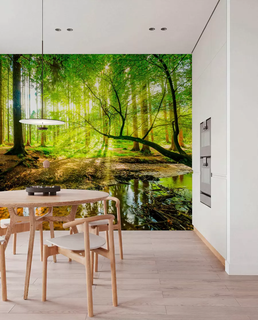 Fototapete Transparenz des Waldstroms u93621