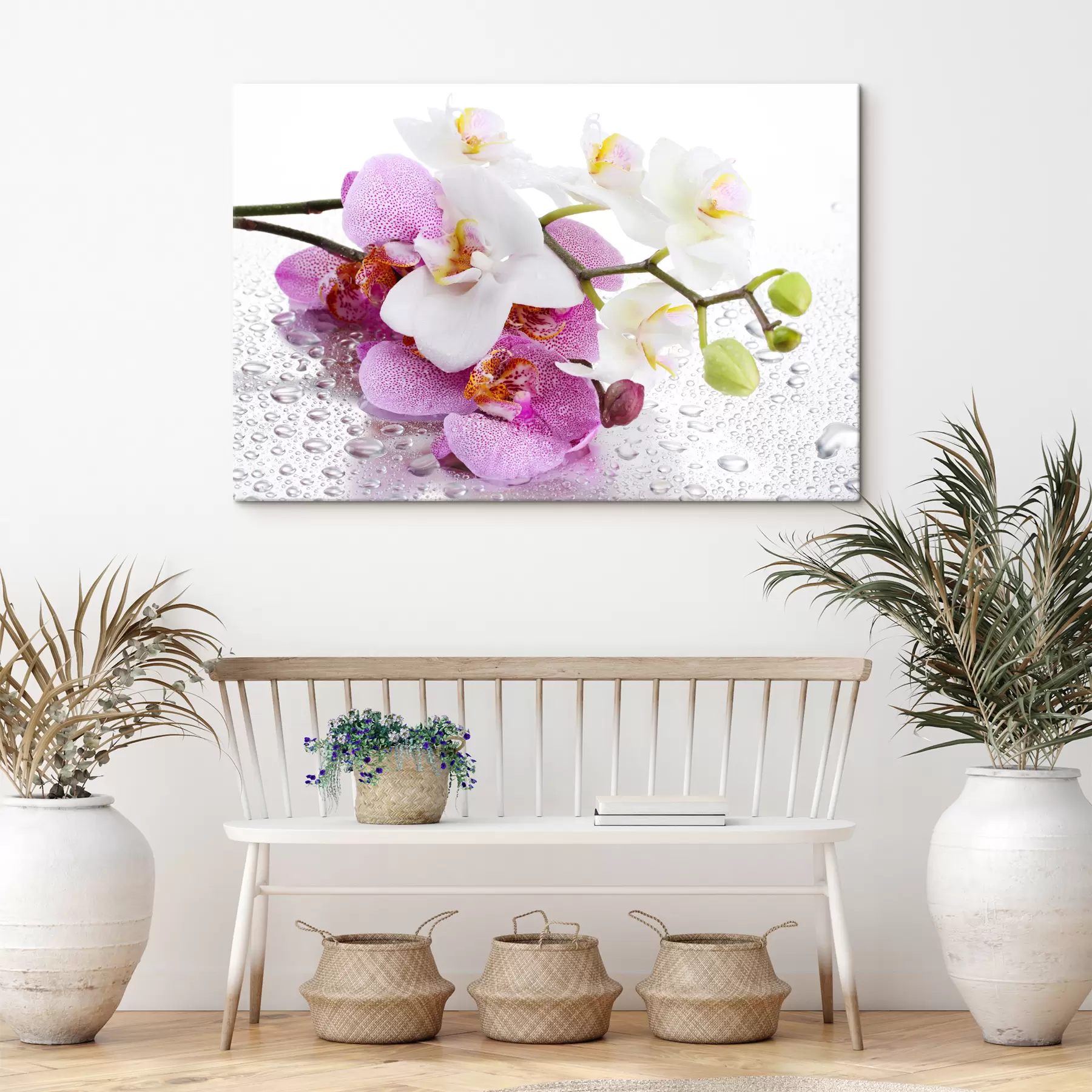 Fototapete Blume, Pflanze und Blütenblatt s15063