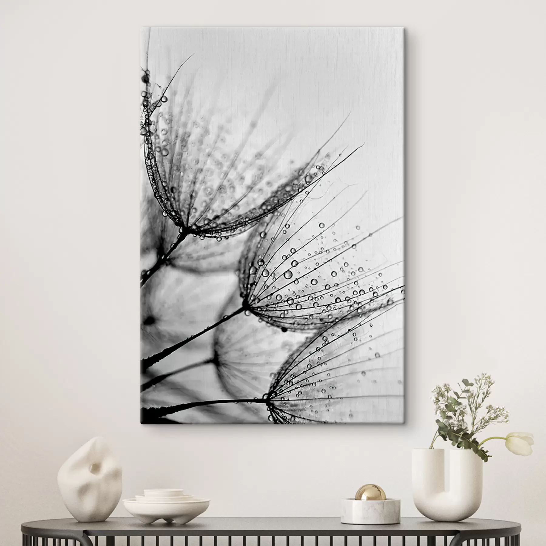 Fototapete Pflanze, Zweig und Linie s20828