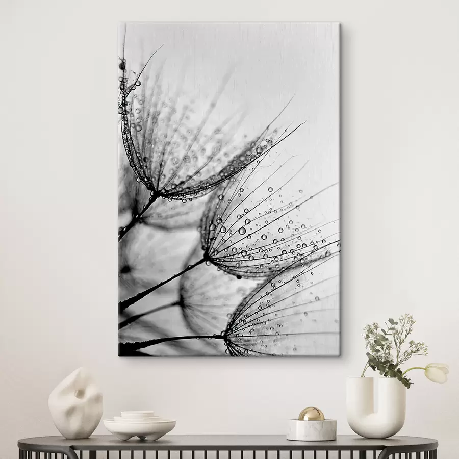 Fototapete Pflanze, Zweig und Linie s20828