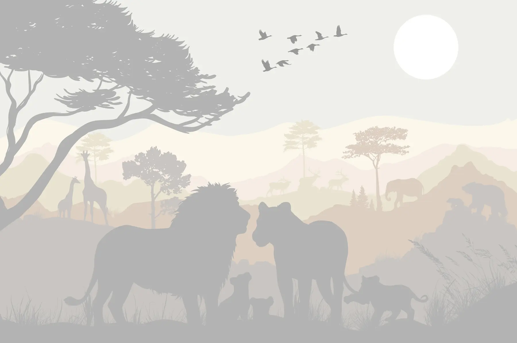 Fototapete Safari u93761