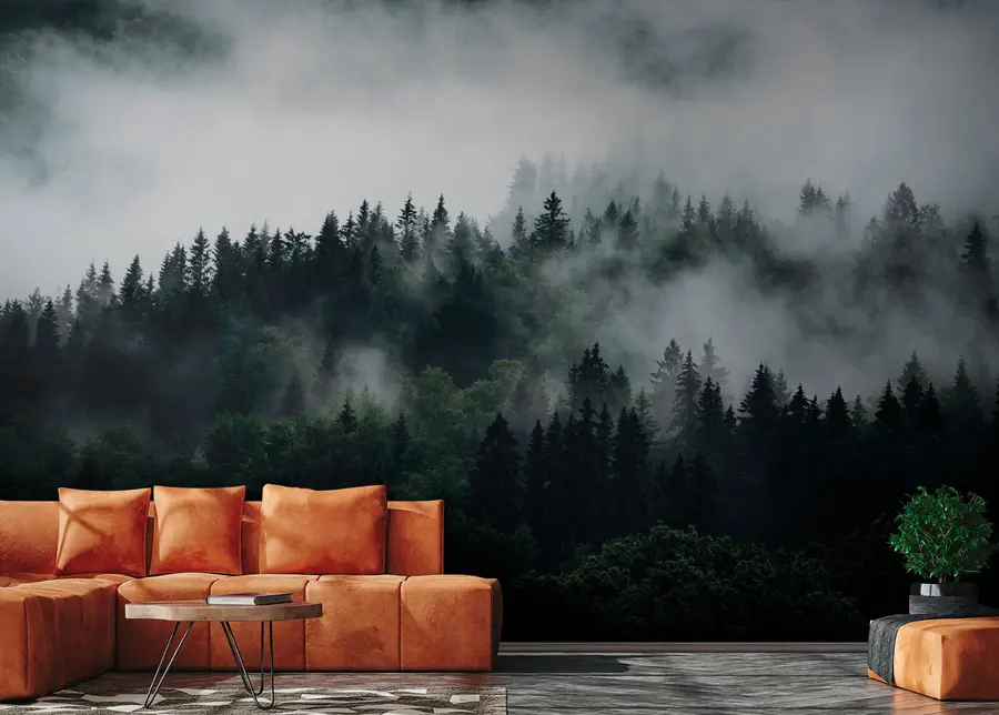 Fototapete Der Wald im Morgennebel u74233