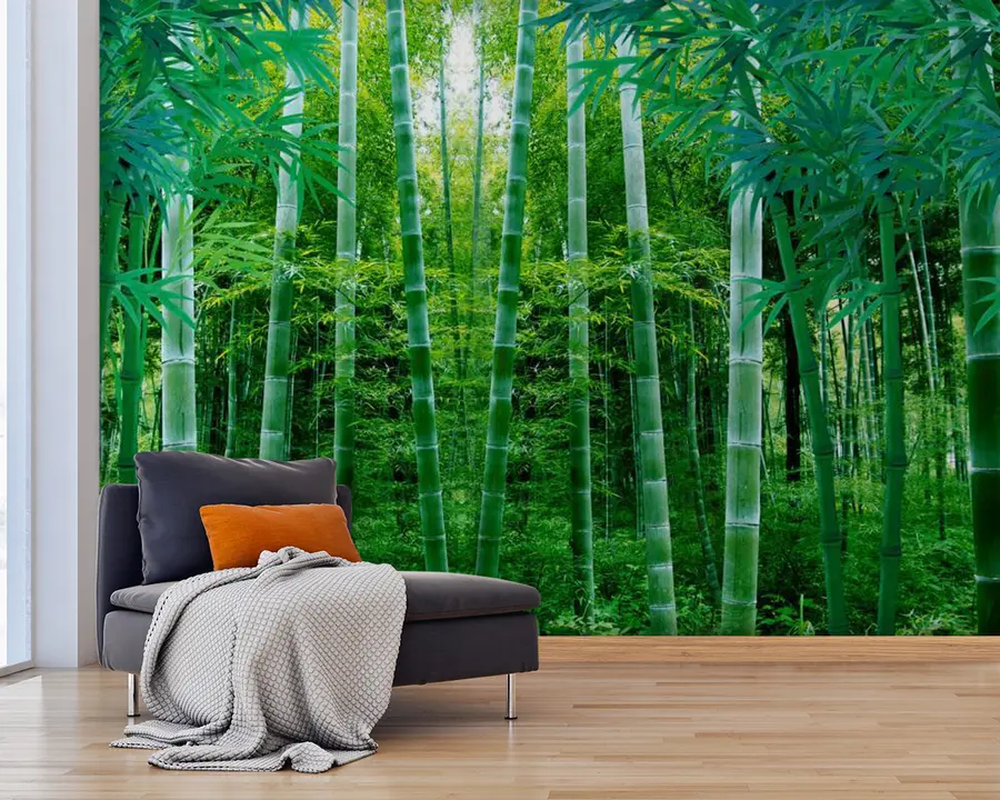 Fototapete Pflanze, grün und Bambus u44596
