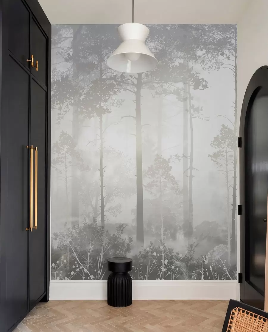 Fototapete Wald im Nebel u94439