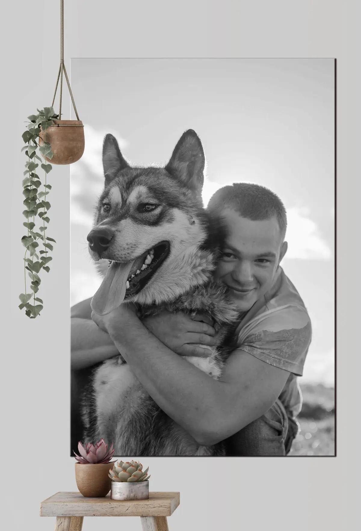 Wandbilder Hund, Hunderasse und Ärmel s33339