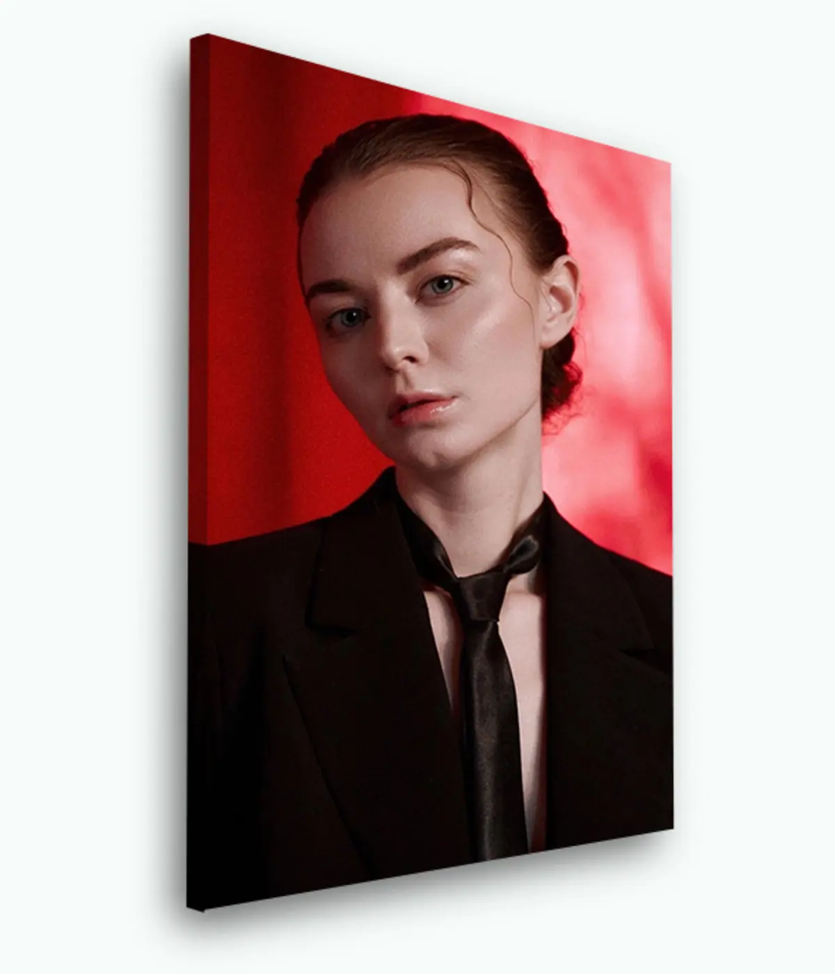 Wandbilder Foto, Hund und Ärmel s33364