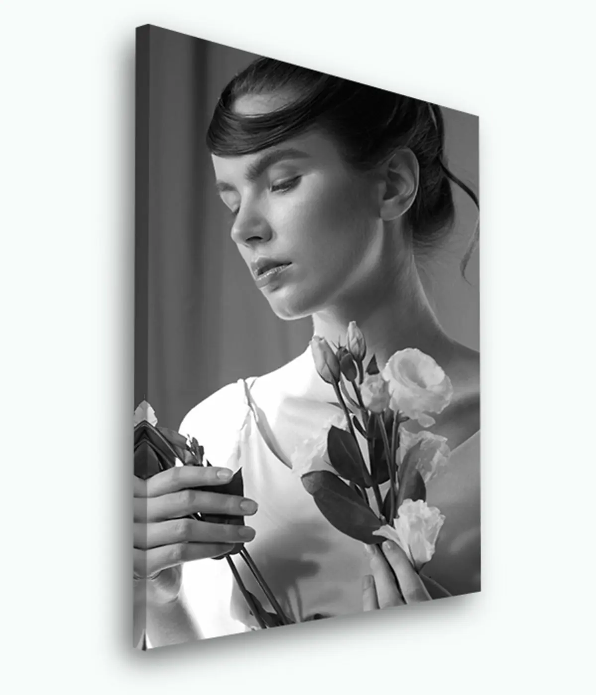 Wandbilder Pflanze, Hand und Foto s33367