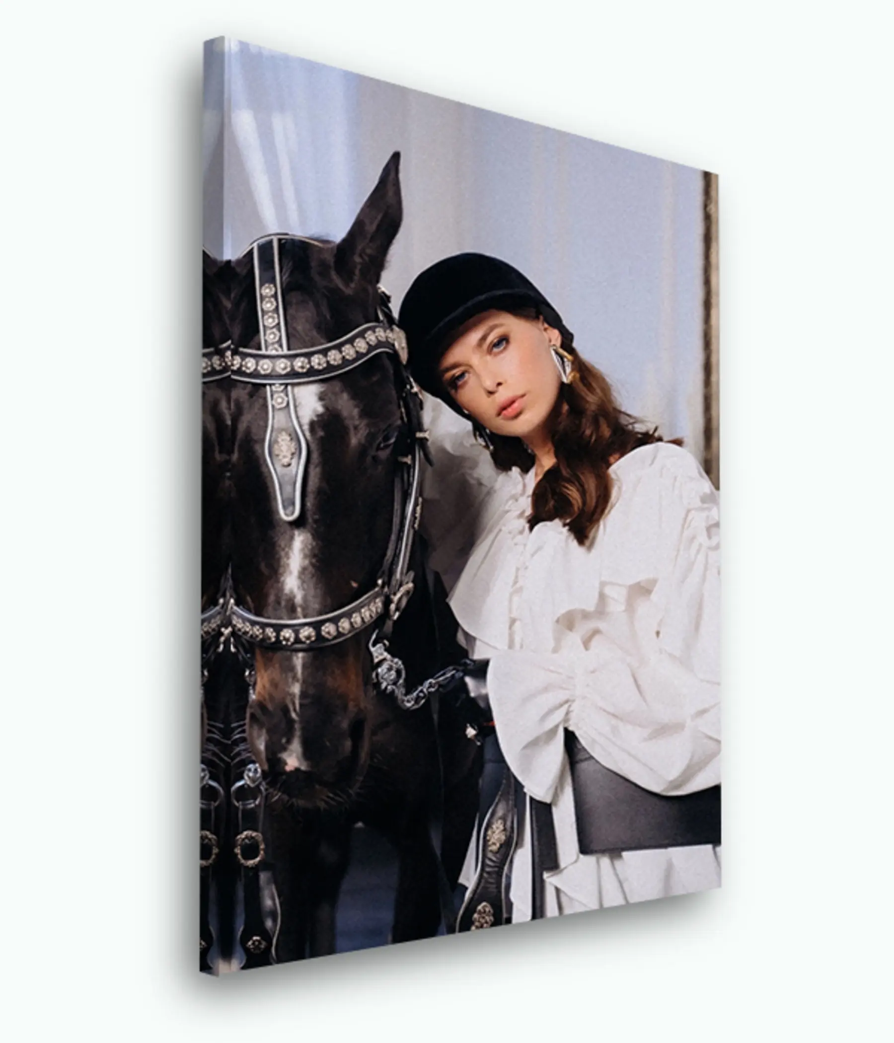 Wandbilder Pferd, Pflanze und Hülse s33405