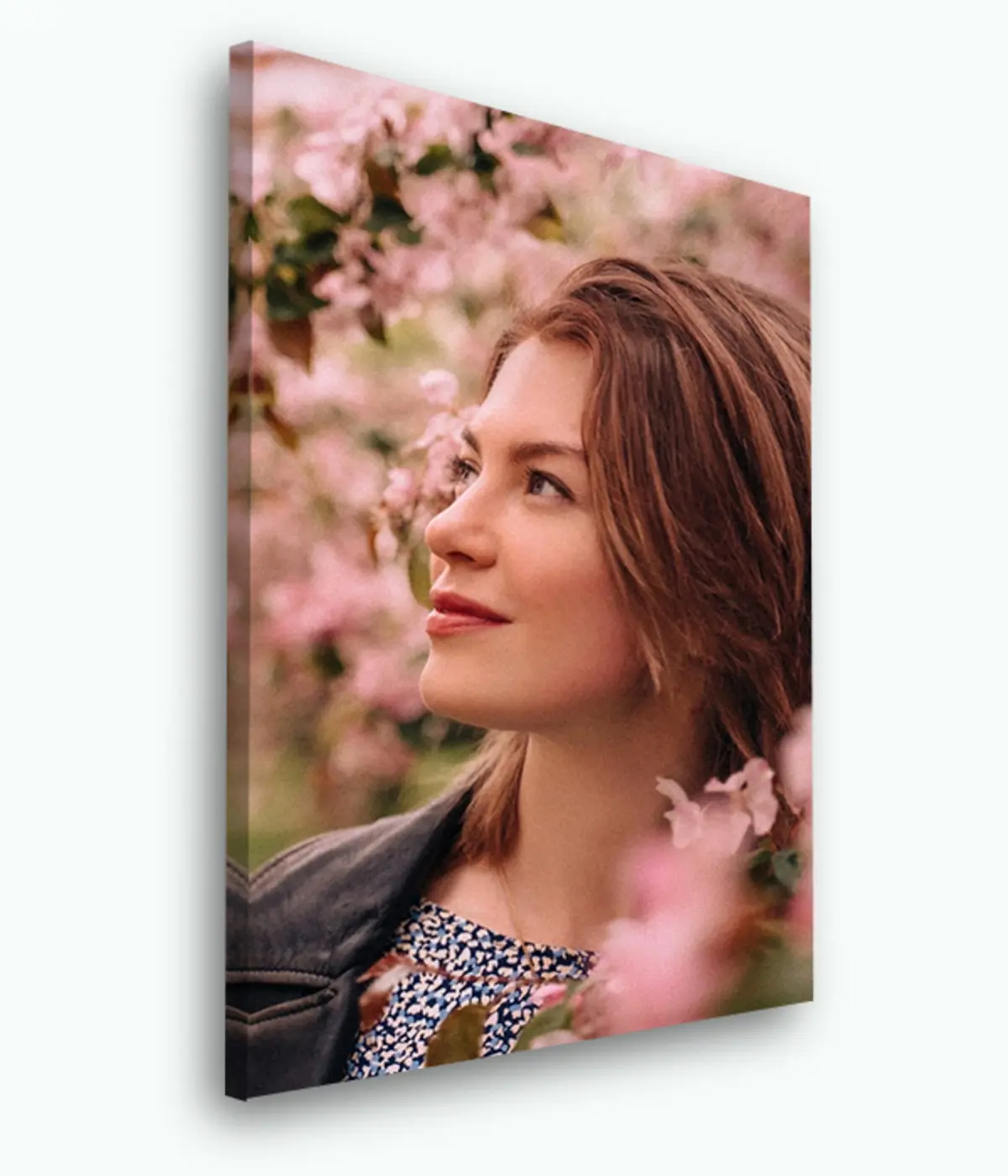 Wandbilder Lippe, Blume und Foto s33423