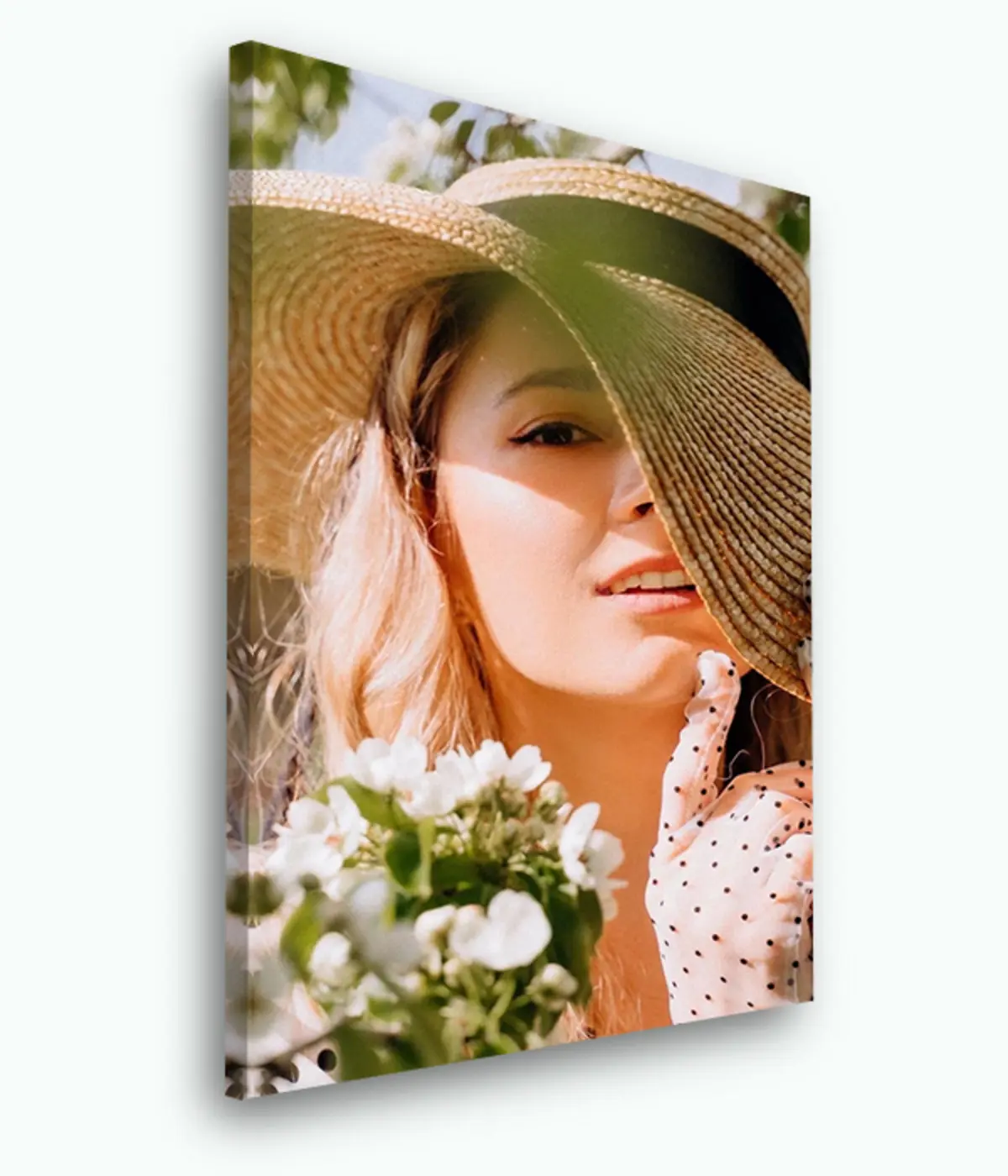 Wandbilder Blume, Pflanze und Blumentopf s33424