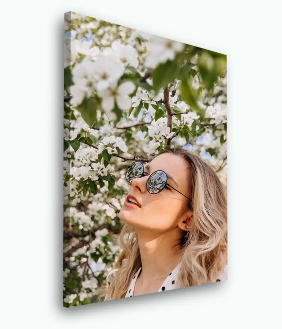 Wandbilder Sonnenbrillen, Augenpflege und Pflanzen s33425