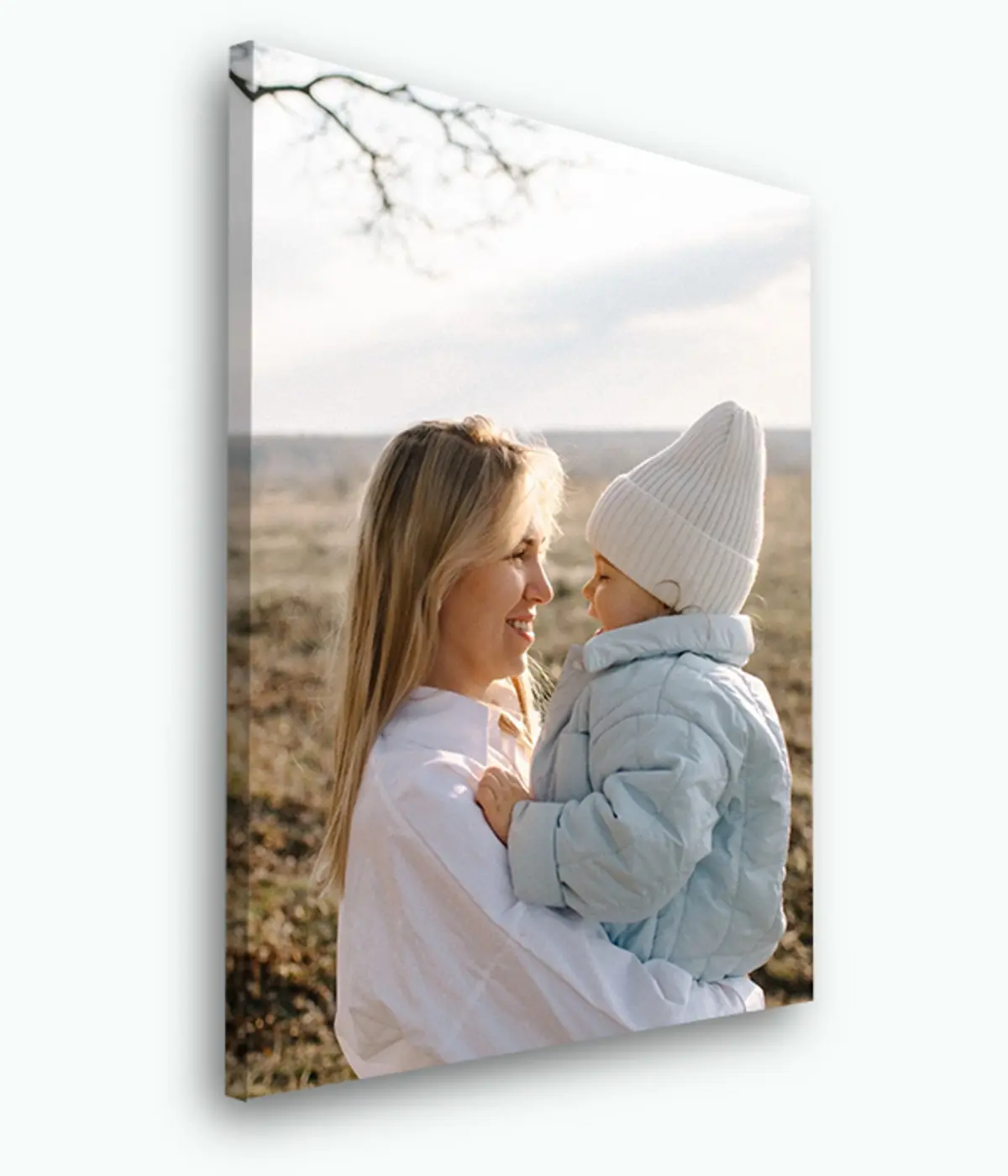 Wandbilder Himmel, Blumentopf und Pflanze s33460