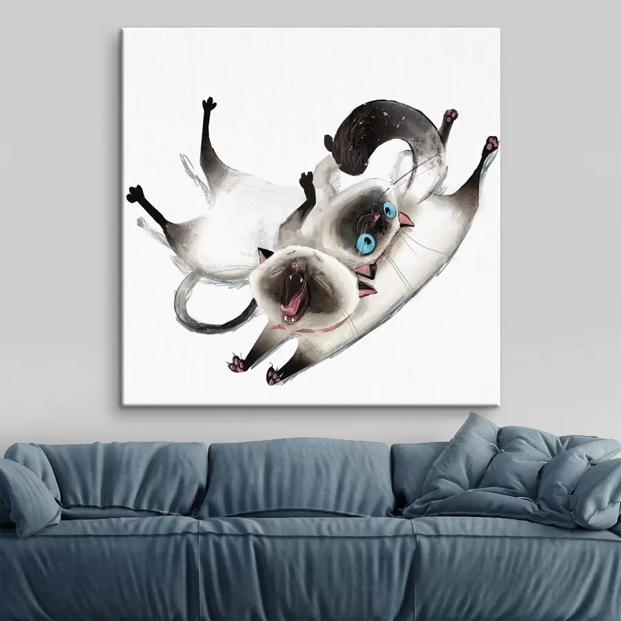 Wandbilder Verspielte Katzen, die ihre Zeit miteinander genießen s34990