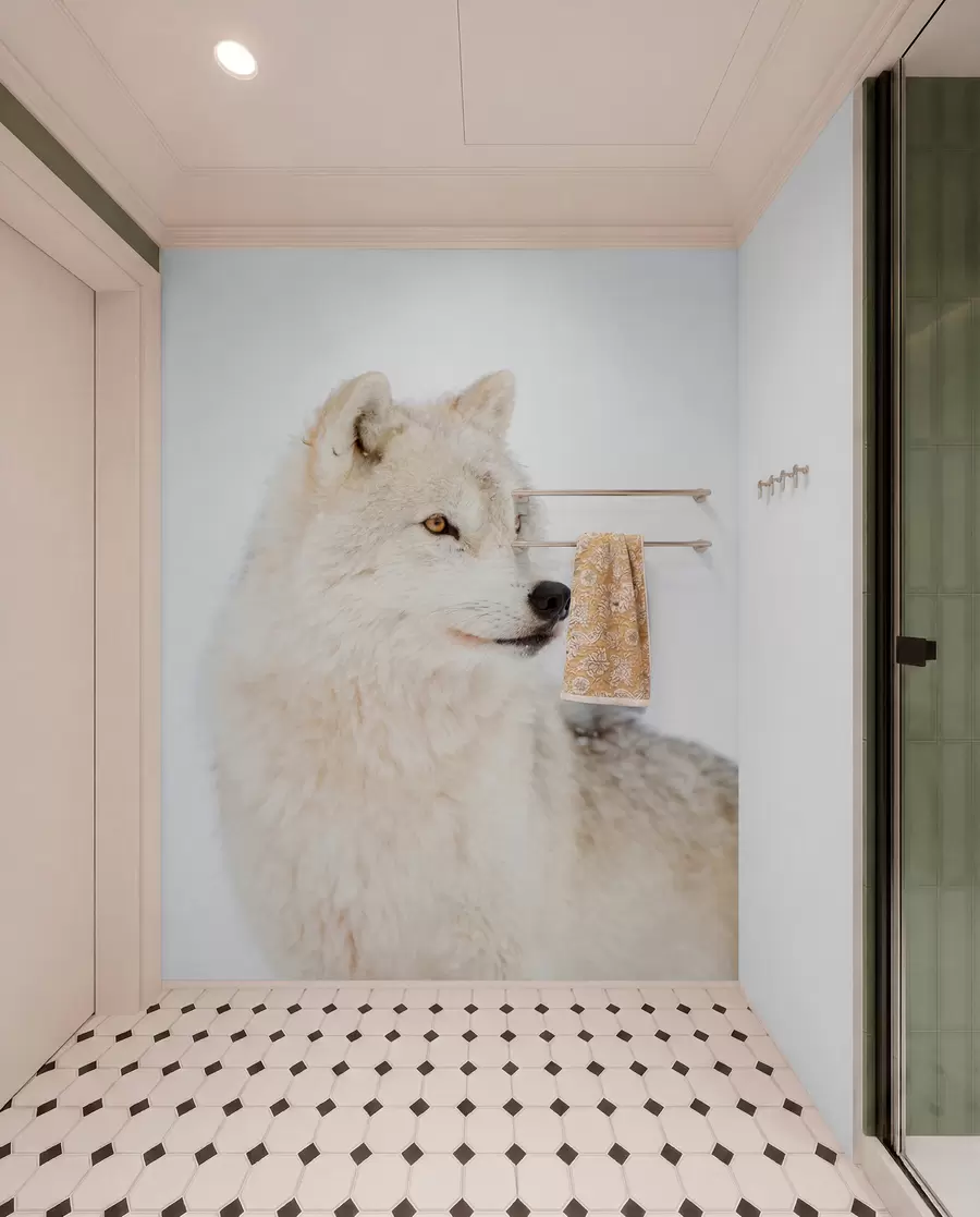 Fototapete Arktischer Wolf auf weißem Hintergrund u98189