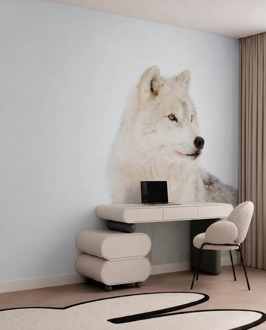 Fototapete Arktischer Wolf auf weißem Hintergrund u98189