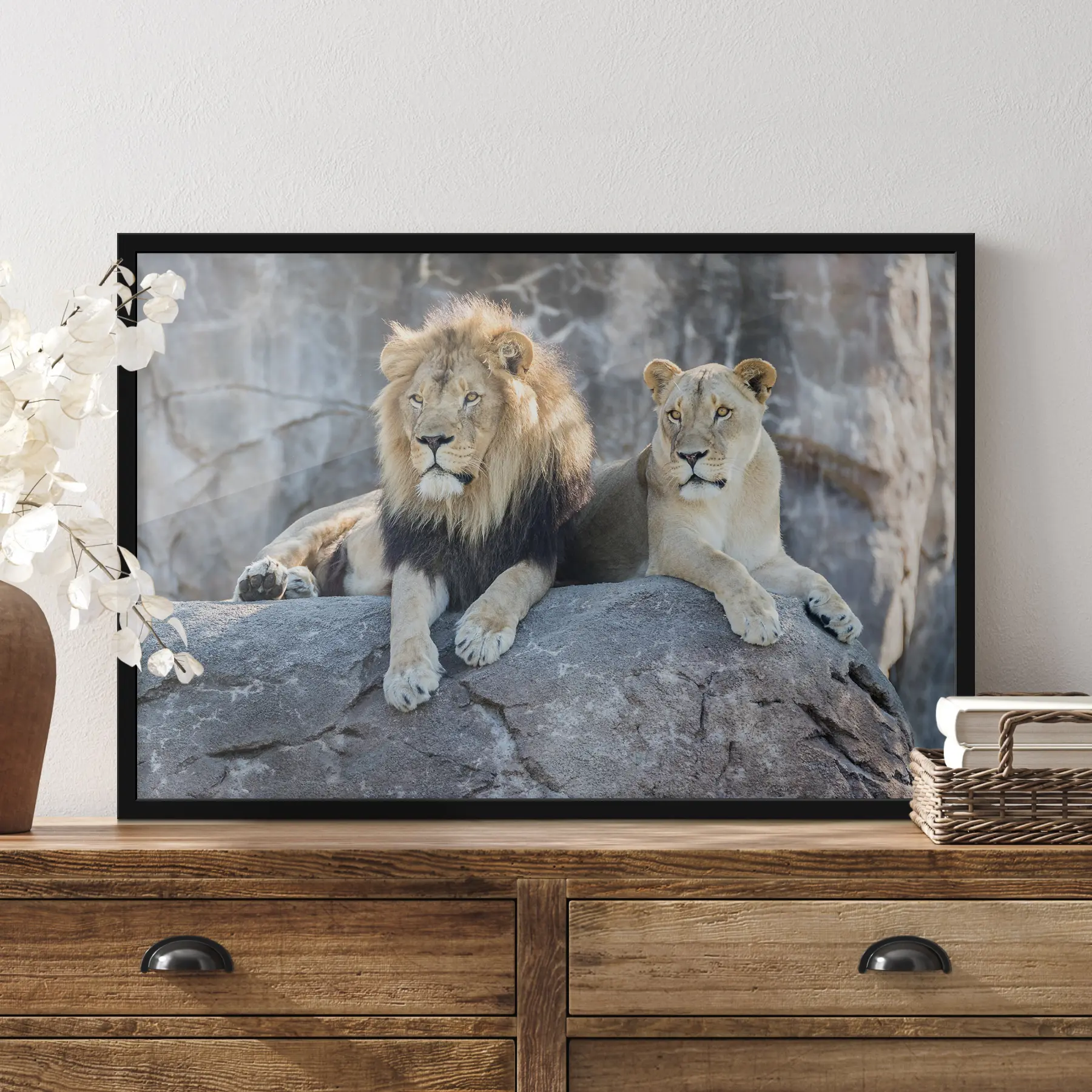 Wandbilder Majestätische Löwen ruhen friedlich zusammen f15278