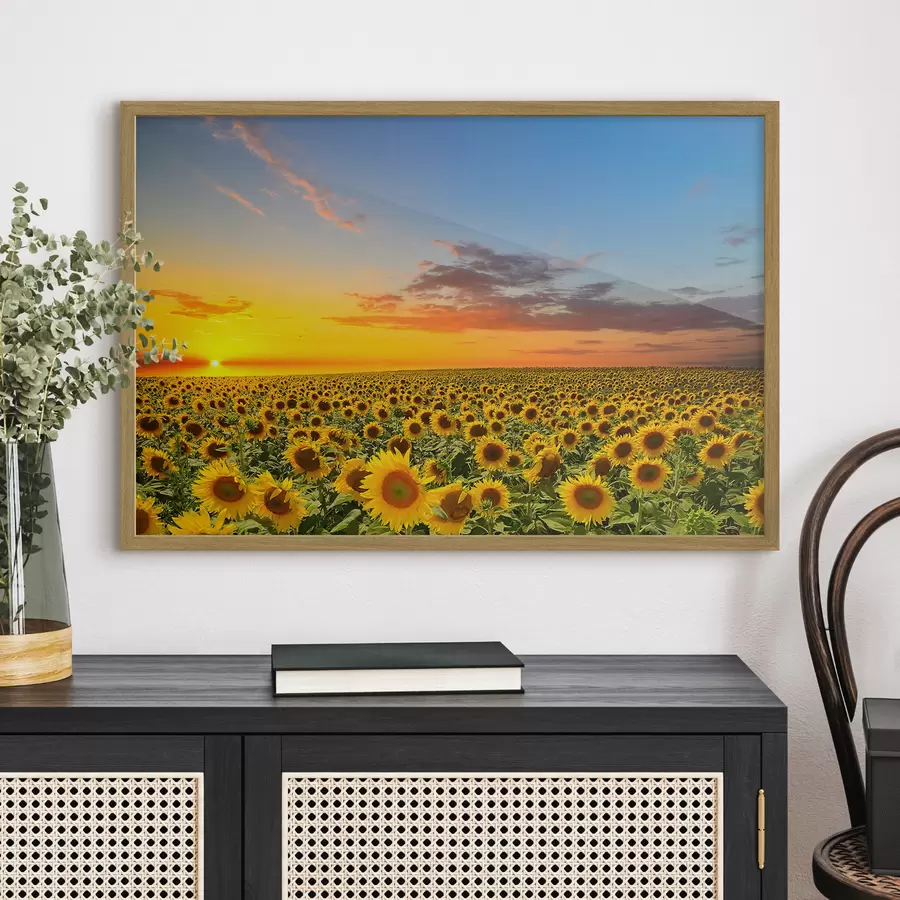 Fototapete Sonnenblumenfeld bei Sonnenuntergang. Eine wunderschöne Aussicht f05429